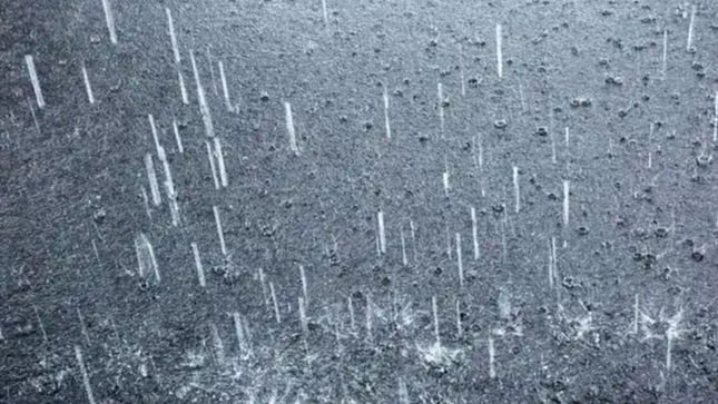用喝奶茶的方式打开暴雨预警热搜配图