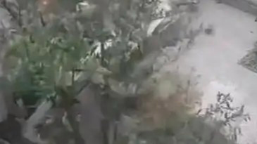 窑洞突然坍塌瞬间掩埋小院 当地回应热搜配图
